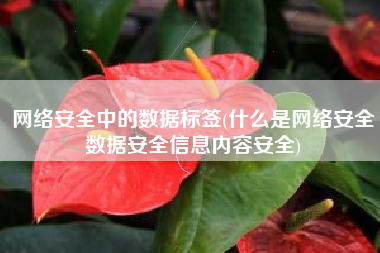 网络安全中的数据标签(什么是网络安全数据安全信息内容安全)