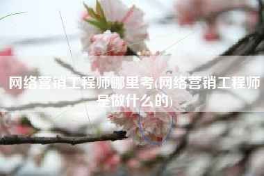 网络营销工程师哪里考(网络营销工程师是做什么的)
