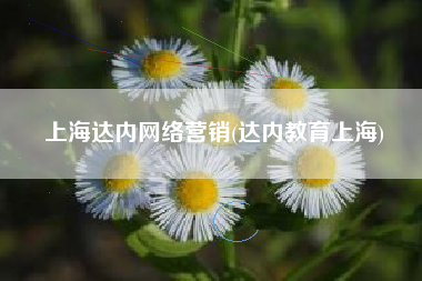 上海达内网络营销(达内教育上海)