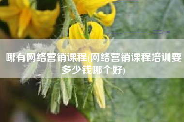 哪有网络营销课程(网络营销课程培训要多少钱哪个好)