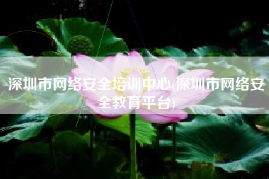 深圳市网络安全培训中心(深圳市网络安全教育平台)