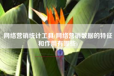 网络营销统计工具(网络营销数据的特征和作用有哪些)