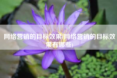 网络营销的目标效果(网络营销的目标效果有哪些)