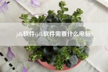 jdk软件(jdk软件需要什么电脑)