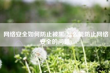 网络安全如何防止被黑(怎么能防止网络安全的问题)