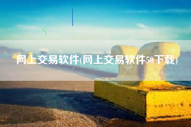 网上交易软件(网上交易软件50下载)