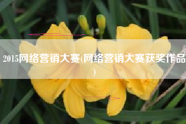 2015网络营销大赛(网络营销大赛获奖作品)