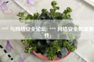 *** 与网络安全论坛( *** 网络安全的重要性)