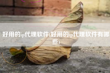 好用的ip代理软件(好用的ip代理软件有哪些)