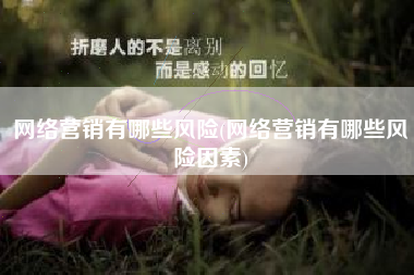 网络营销有哪些风险(网络营销有哪些风险因素)
