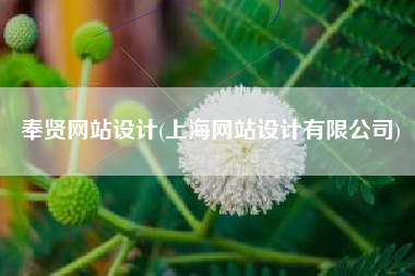 奉贤网站设计(上海网站设计有限公司)