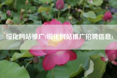 绥化网站推广(绥化网站推广招聘信息)