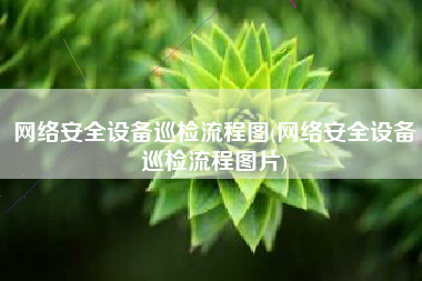 网络安全设备巡检流程图(网络安全设备巡检流程图片)