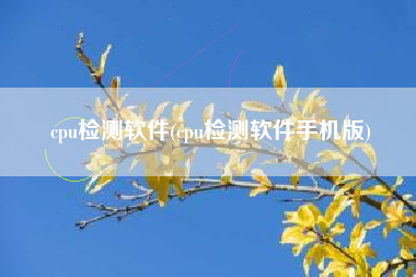 cpu检测软件(cpu检测软件手机版)