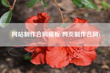 网站制作合同模板(网页制作合同)