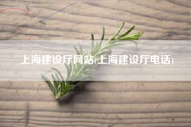 上海建设厅网站(上海建设厅电话)