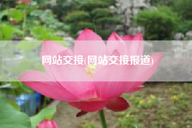 网站交接(网站交接报道)