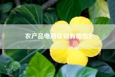 农产品电商区别有哪些？