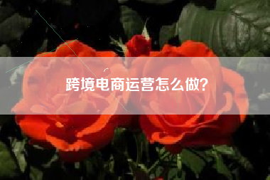 跨境电商运营怎么做？