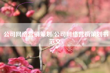 公司网络营销策划(公司网络营销策划书范文)