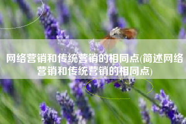 网络营销和传统营销的相同点(简述网络营销和传统营销的相同点)