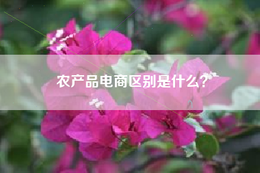 农产品电商区别是什么？