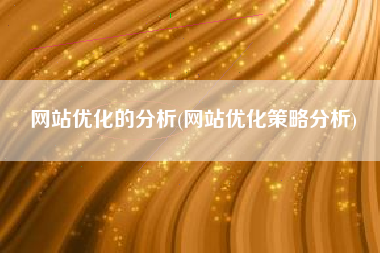 网站优化的分析(网站优化策略分析)