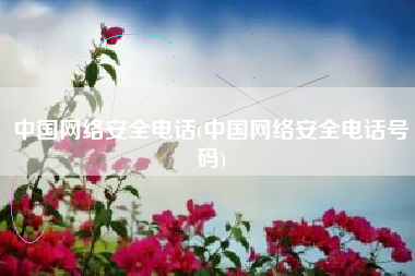 中国网络安全电话(中国网络安全电话号码)