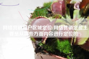 网络营销用户区域定位(网络营销定位主要是从哪些方面内容进行定位的?)