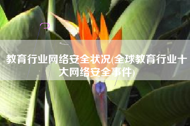 教育行业网络安全状况(全球教育行业十大网络安全事件)