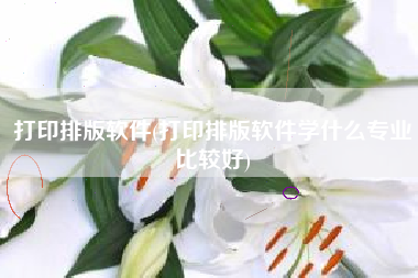 打印排版软件(打印排版软件学什么专业比较好)
