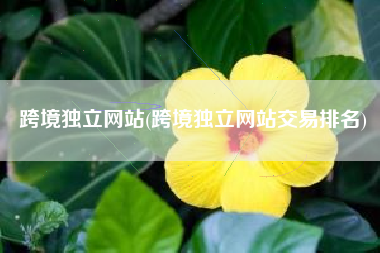 跨境独立网站(跨境独立网站交易排名)