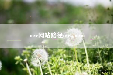 mvc网站路径(web mvc)