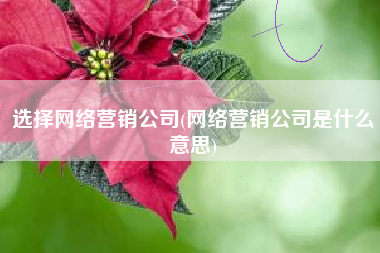 选择网络营销公司(网络营销公司是什么意思)
