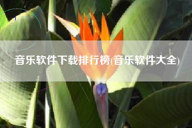 音乐软件下载排行榜(音乐软件大全)