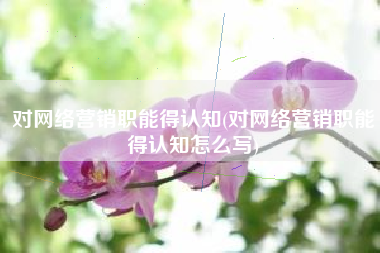 对网络营销职能得认知(对网络营销职能得认知怎么写)