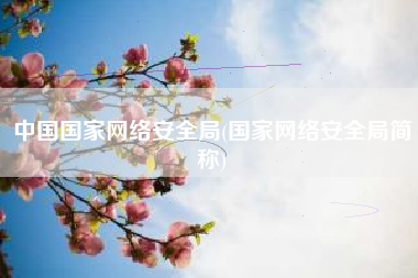 中国国家网络安全局(国家网络安全局简称)