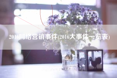 2016网络营销事件(2016大事件一览表)