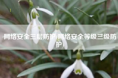 网络安全三层防护(网络安全等级三级防护)
