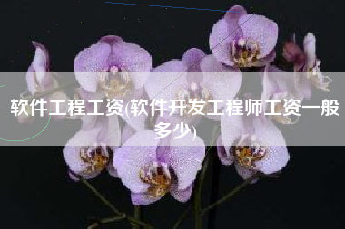 软件工程工资(软件开发工程师工资一般多少)