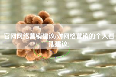 官网网络营销建议(对网络营销的个人看法建议)