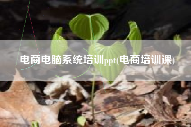 电商电脑系统培训ppt(电商培训课)