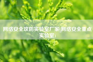 网络安全攻防实验室厂家(网络安全重点实验室)