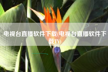 电视台直播软件下载(电视台直播软件下载TV)