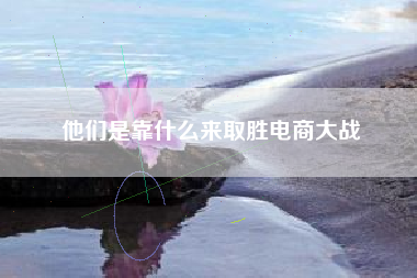他们是靠什么来取胜电商大战