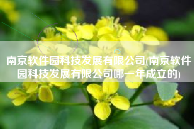 南京软件园科技发展有限公司(南京软件园科技发展有限公司哪一年成立的)
