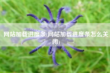 网站加载进度条(网站加载进度条怎么关闭)