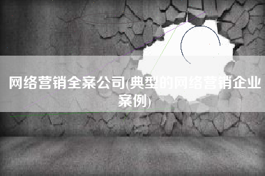 网络营销全案公司(典型的网络营销企业案例)