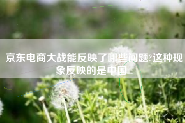 京东电商大战能反映了哪些问题?这种现象反映的是中国...