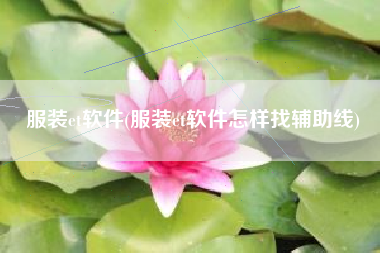 服装et软件(服装et软件怎样找辅助线)